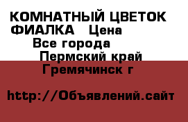 КОМНАТНЫЙ ЦВЕТОК -ФИАЛКА › Цена ­ 1 500 - Все города  »    . Пермский край,Гремячинск г.